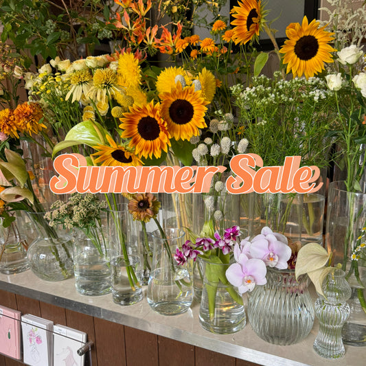 Summer Sale